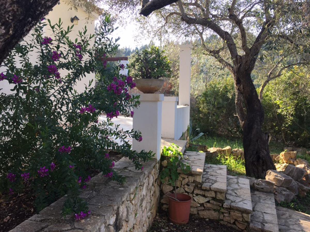 Nereidi Pool Villas Porto Ozias Bagian luar foto
